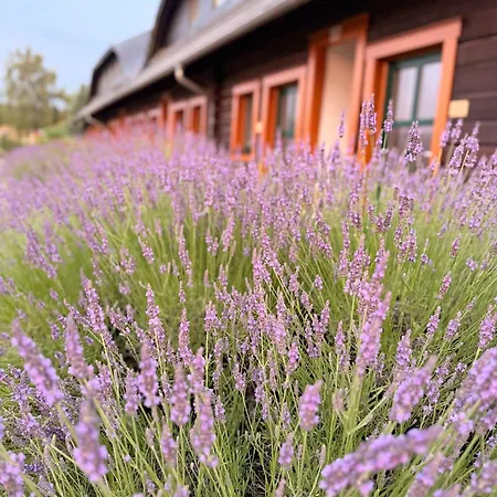 Seehotel Burg Spreewald Byhleguhre-Byhlen