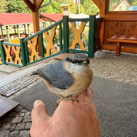 Seehotel Burg Spreewald فندق Byhleguhre-Byhlen
