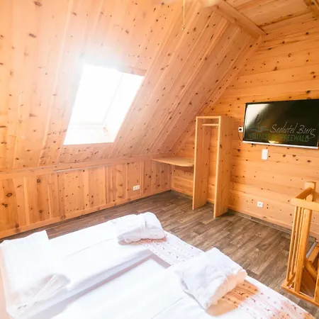 فندق Seehotel Burg Spreewald 4*