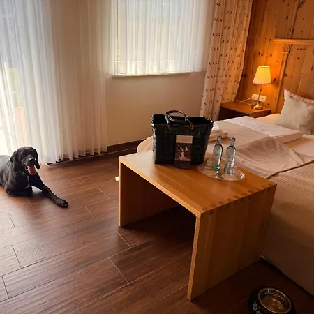Hotel Seehotel Burg